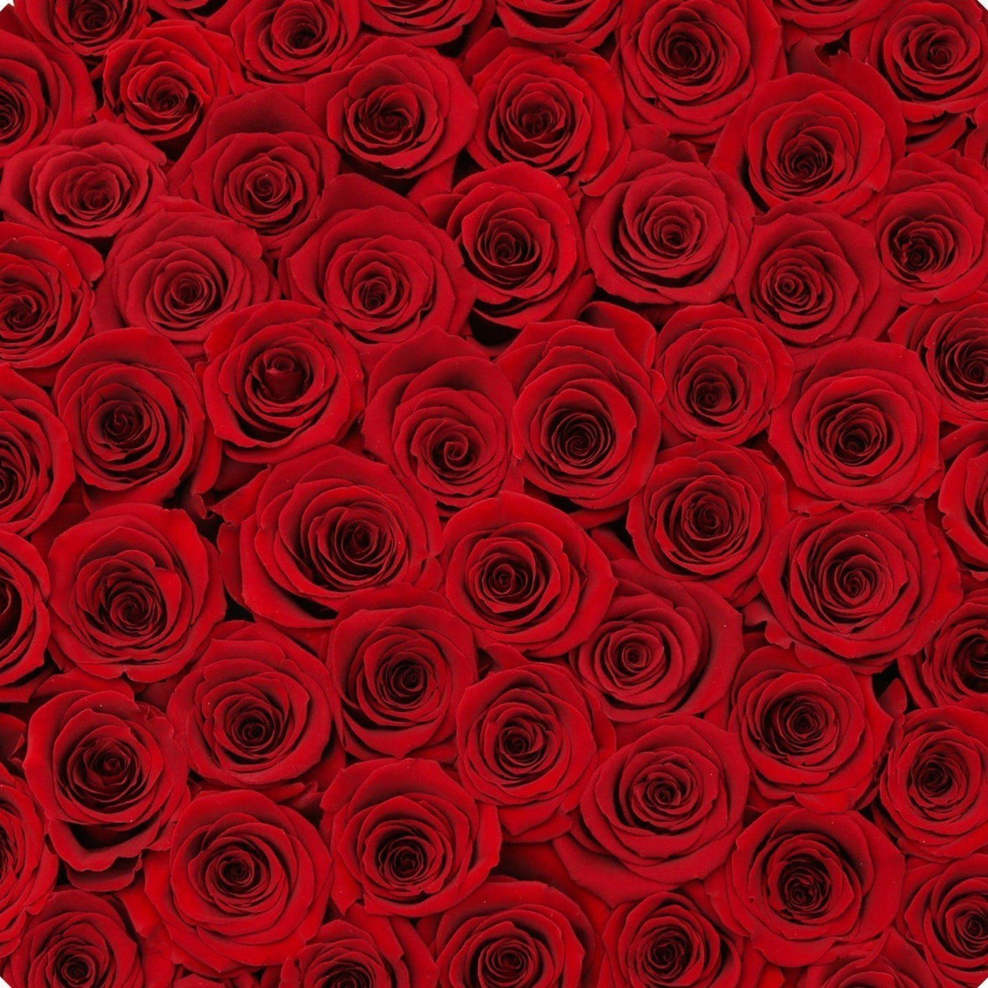 red roses eternity preserved luxury