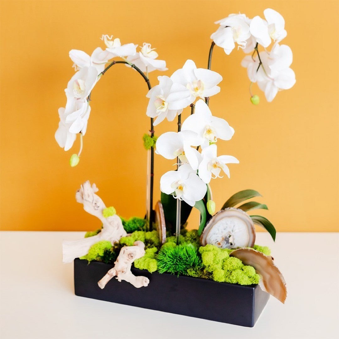 Orchid Floral Arrangements