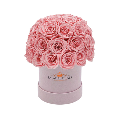 pink roses small dome box