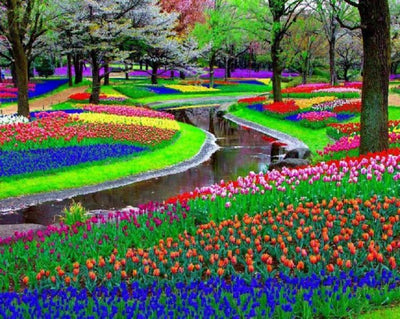 The 20 greatest destinations on Earth for flowers