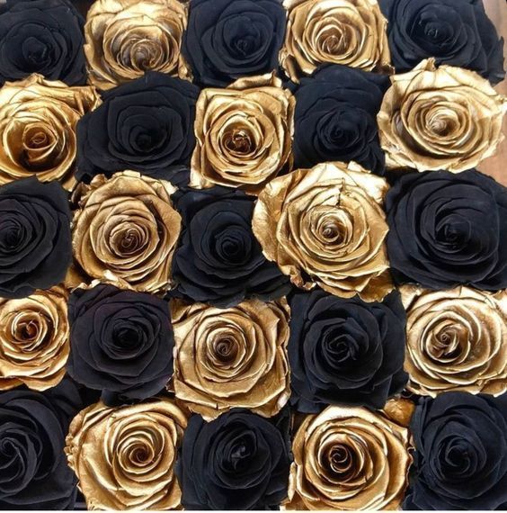 black and gold roses