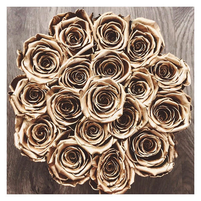 rose in a box