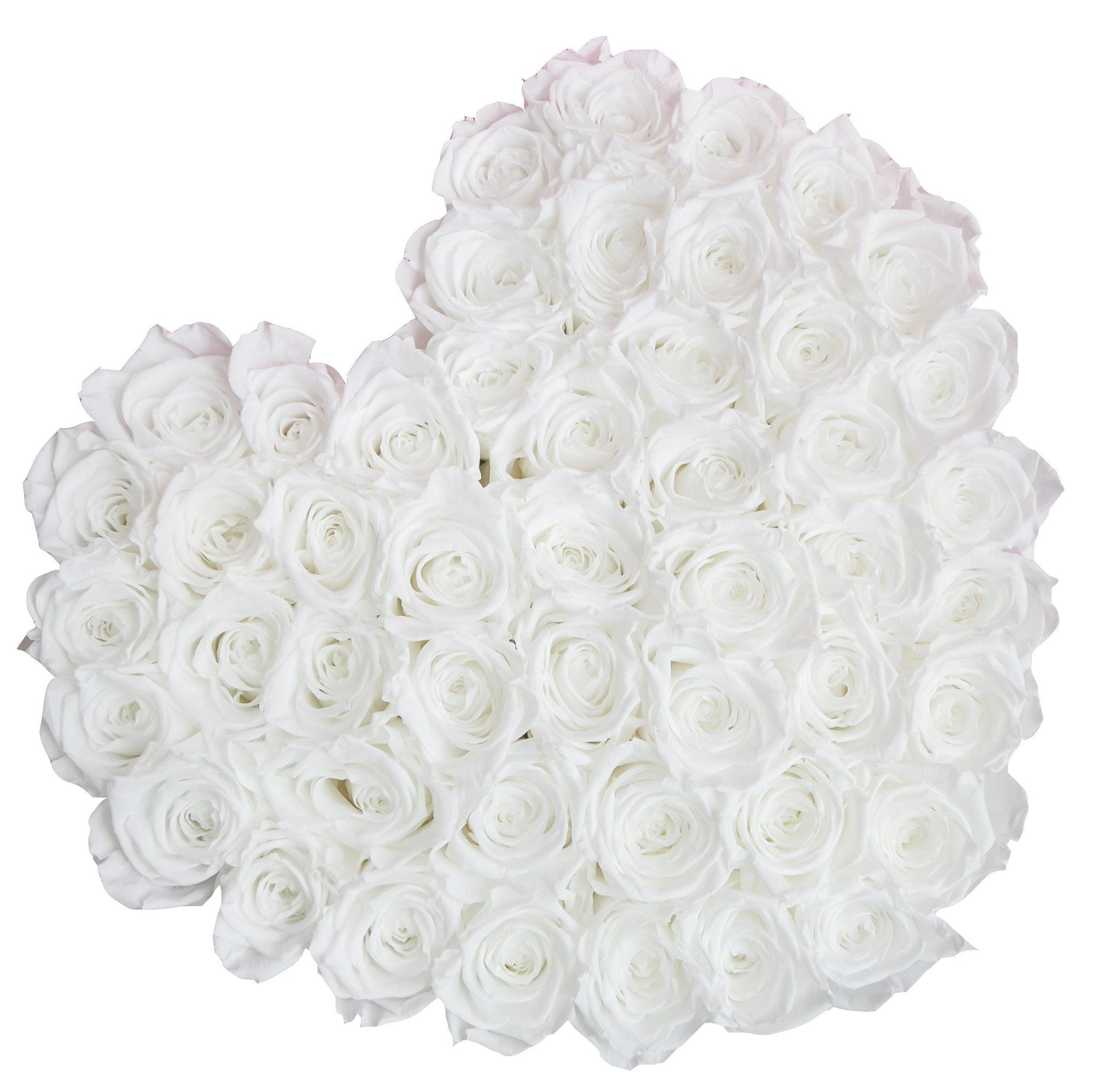 Eternal Roses (That Last A Year or MORE!) – Palatial Petals