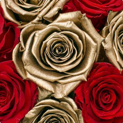 Petite Collection | Preserved Eternity Roses In A Box