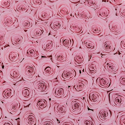 Luxury pink preserved roses that last a year