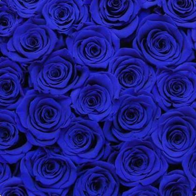 Blue Roses Preserved