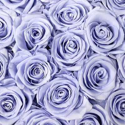 housewarming flowers roses gifts