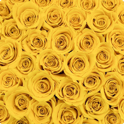 yellow roses preserved