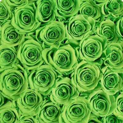 Luxury preserved green roses in a box that last a year