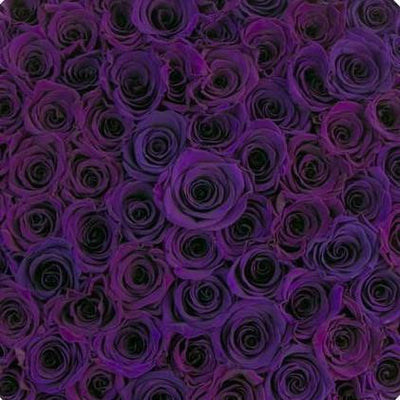 Luxury purple rose arrangement