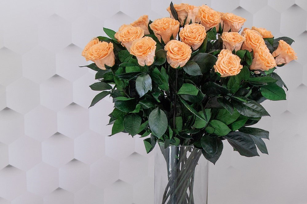 Long Stem Preserved Roses | Long Lasting Luxury Roses – Palatial Petals