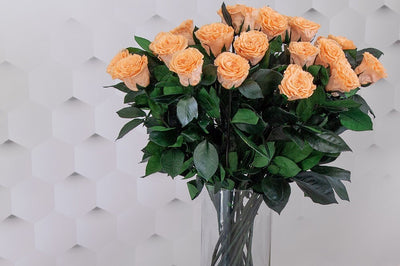 Elegant long-lasting preserved roses arranged in gift box