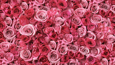 real roses