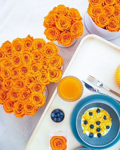 Luxury Preserved Orange Rose Arrangements