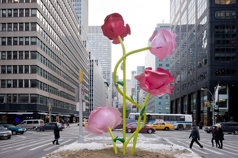 Preserved roses in a box delivered in New York City