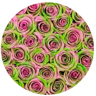 Tropical Roses Preserved Pink Green