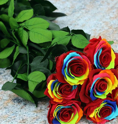 Multi-colored preserved long stem roses bouquet in vibrant rainbow hues