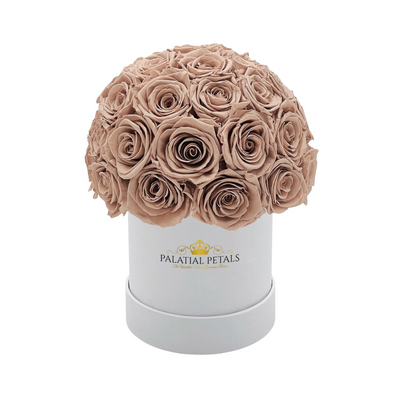 nude roses small dome box