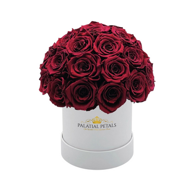 red wine roses small dome box