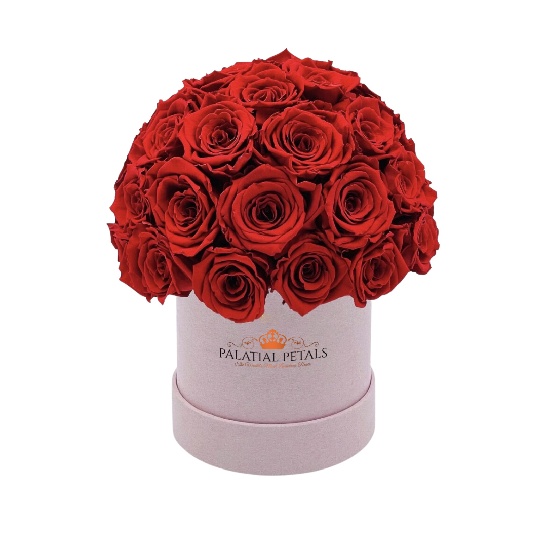 red roses small dome box