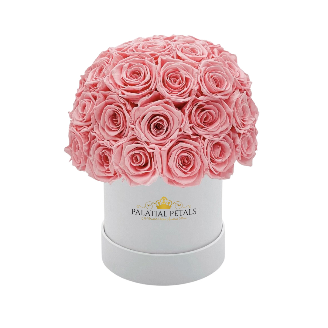pink roses small dome box