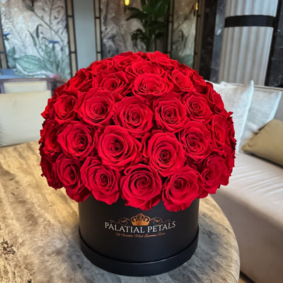 red preserved roses in a box - palatial petals