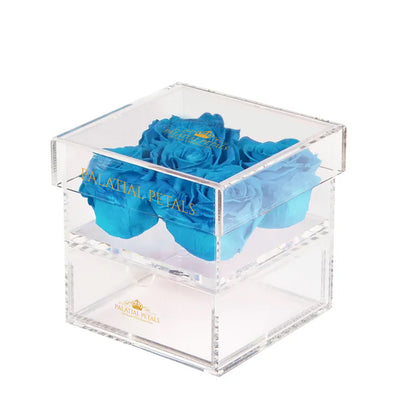 Turquoise Eternity Roses - Acrylic Box
