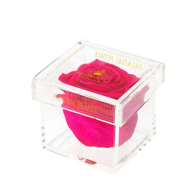 Single Eternity Rose - Petit Bisou Acrylic Box