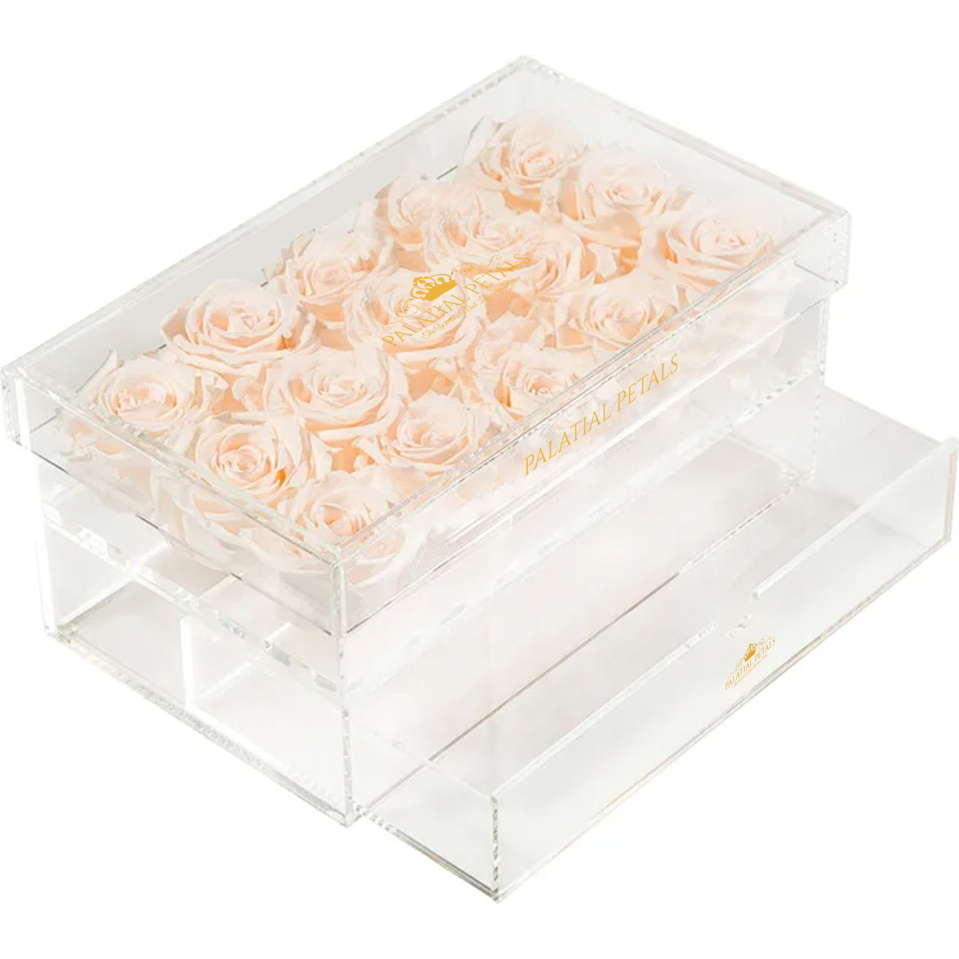 Blush Eternity Roses - Acrylic Box