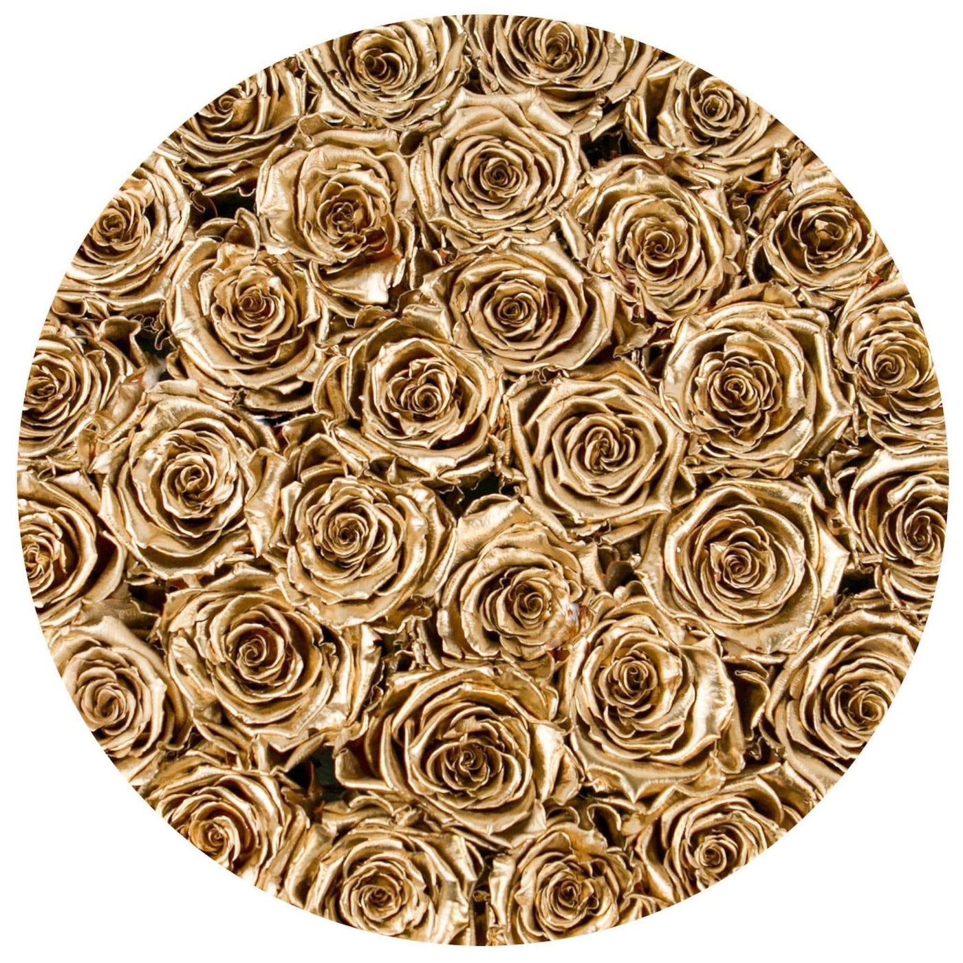 24k Gold Roses - Grande