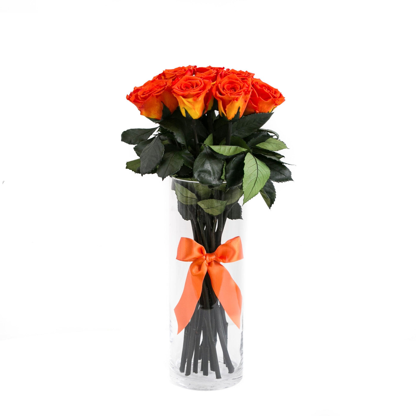 PALATIAL PETALS® Hermès Orange - Long Stem Roses