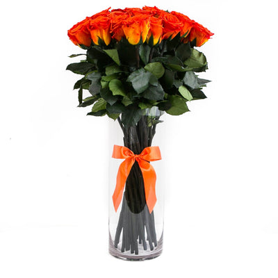 PALATIAL PETALS® Hermès Orange - Long Stem Roses