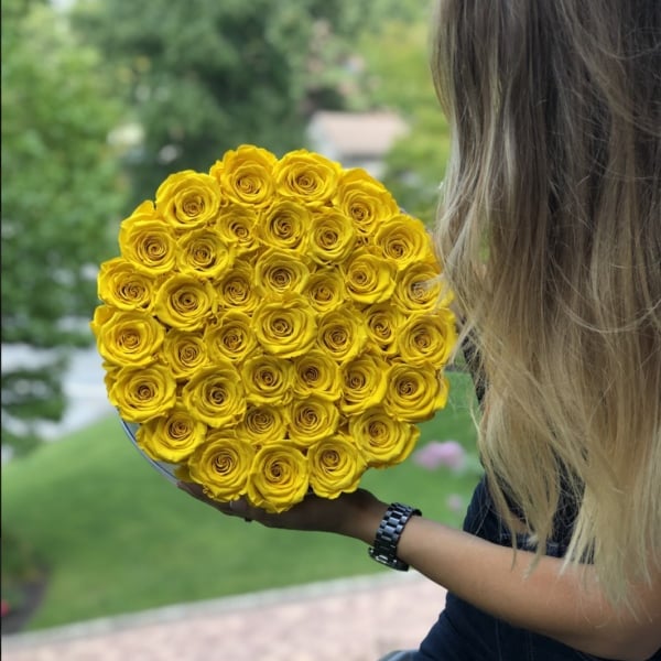 Yellow Roses - Grande