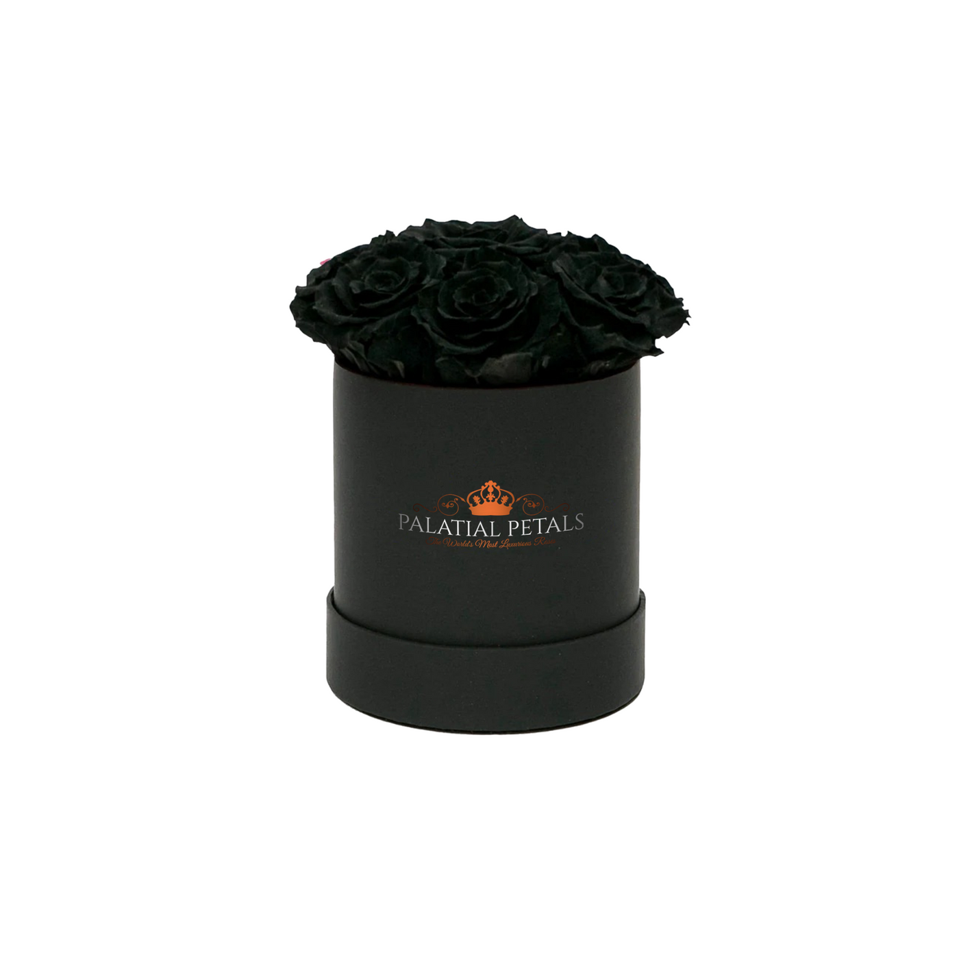 Black Roses That Last A Year - Petite Rose Box