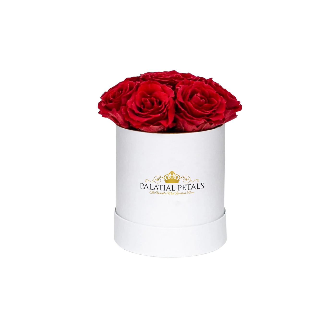 Red Roses That Last A Year - Petite Rose Box