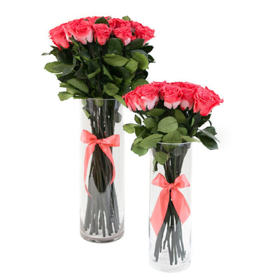 PALATIAL PETALS® Coral Pink - Long Stem Roses
