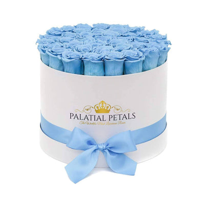 Baby Blue Roses That Last A Year - Grande Rose Box