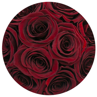 Red Wine Roses That Last A Year - Petite Rose Box