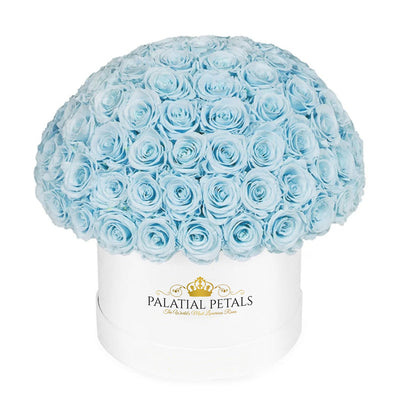 Baby Blue Roses That Last A Year - Grande "Crown" Rose Box