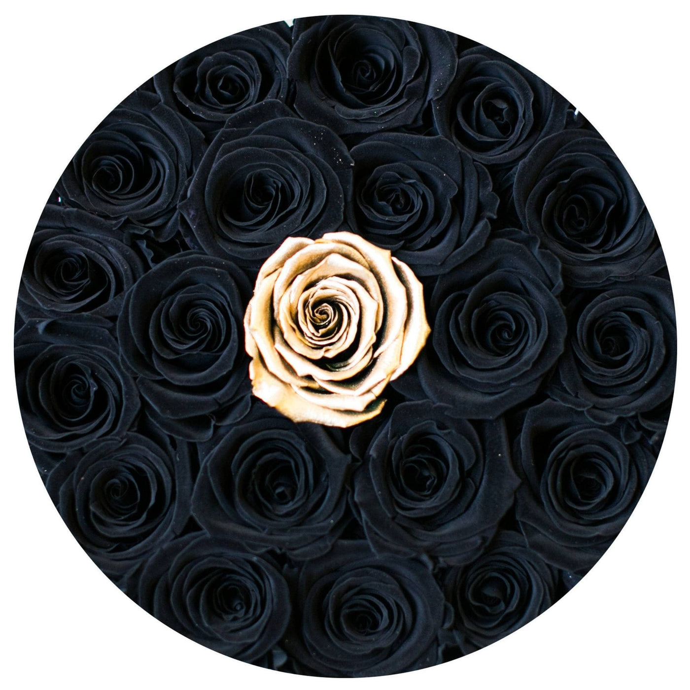Black & 24k Gold Roses That Last A Year - Classic Rose Box