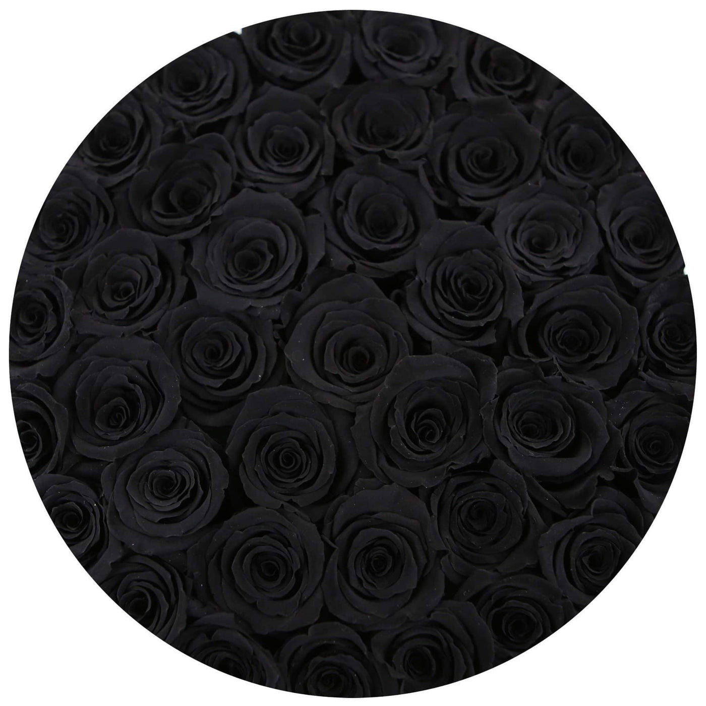 Black Roses That Last A Year - Grande Rose Box
