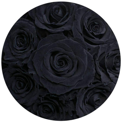 Black Roses - Petite