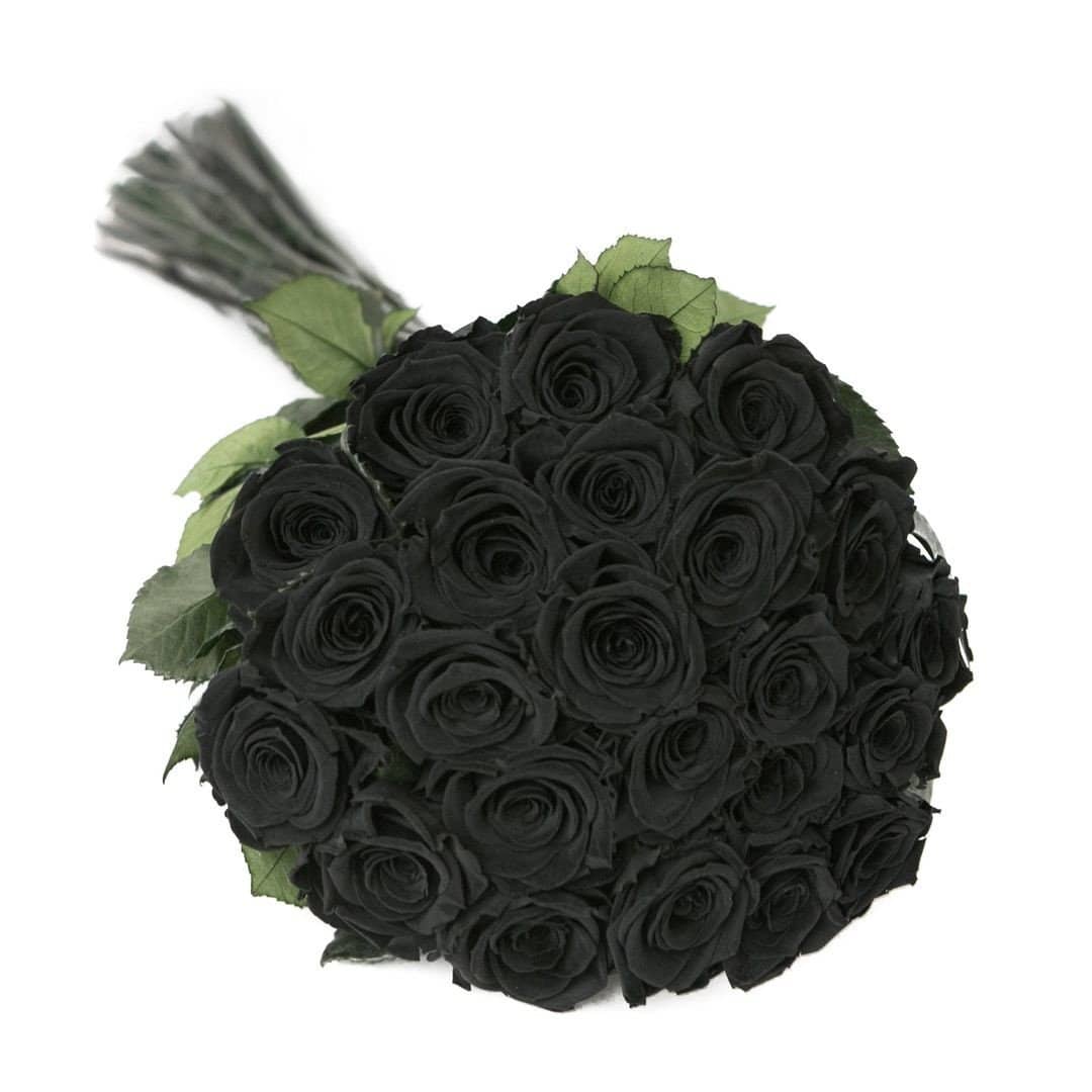 PALATIAL PETALS® Black - Long Stem Roses