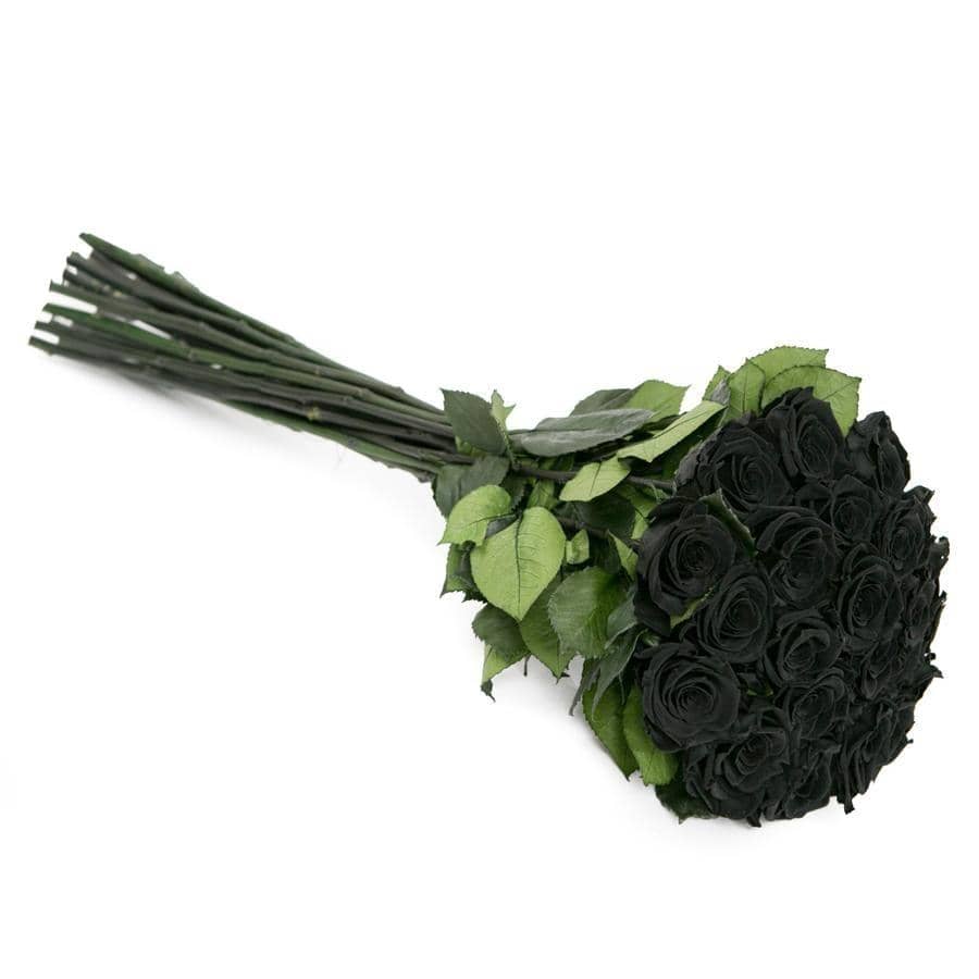 PALATIAL PETALS® Black - Long Stem Roses