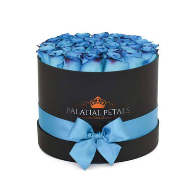 Blue Coral Roses That Last A Year - Grande Rose Box