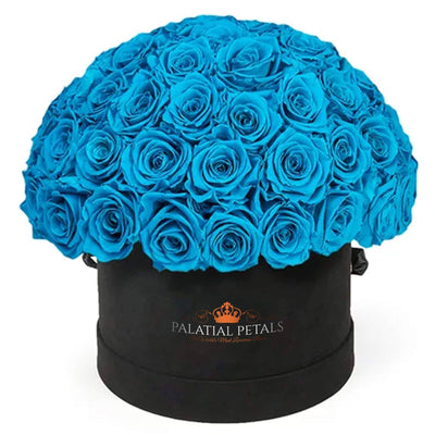 Blue Roses That Last A Year - Grande "Dome" Rose Box