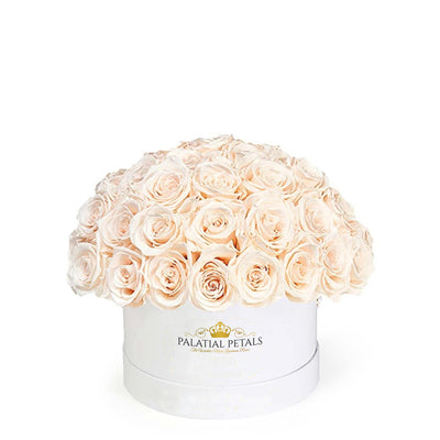 Blush Roses That Last A Year - Classic Rose "Crown"