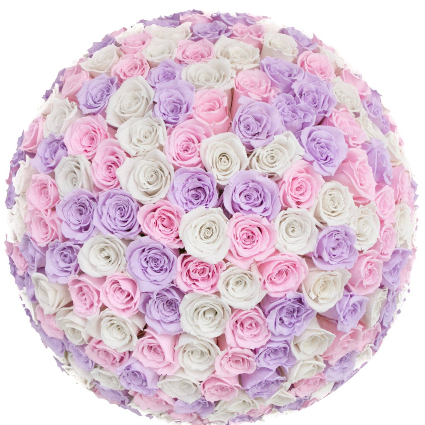 Princess Roses That Last A Year (Dome) - Deluxe Rose Box