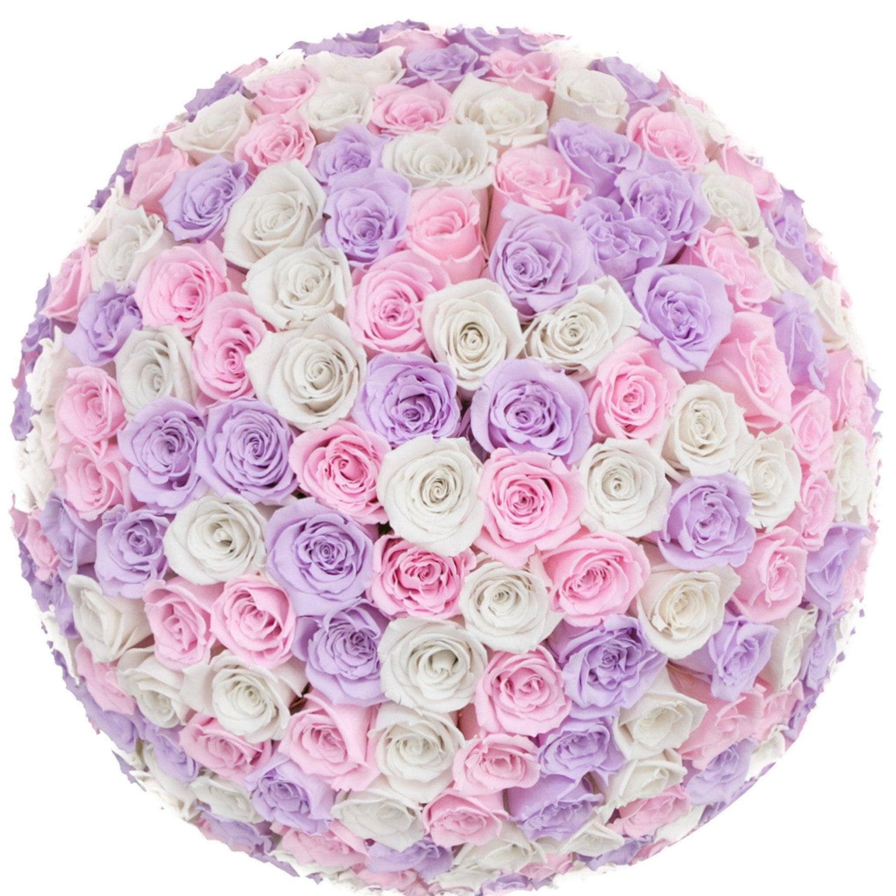 Point Roses Deluxe Special Edition Princess Roses That Last A Year - Deluxe Rose Box ...