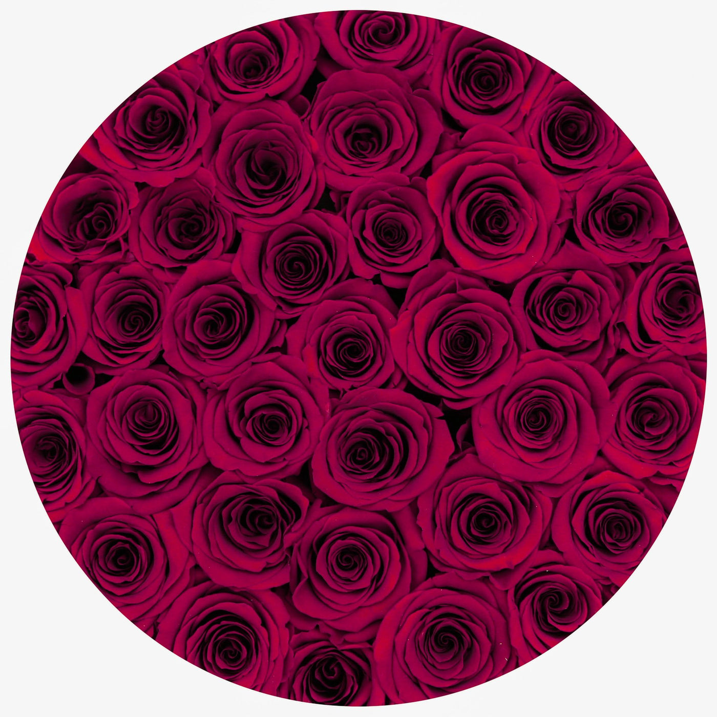Red Wine Roses - Grande